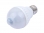 images/v/201207/13431877760_bulb (1).jpg